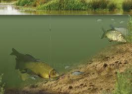 teste..idei..pareri..etc - images.jpg